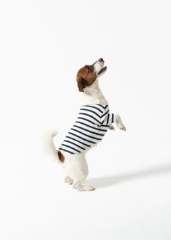 SAINT JAMES Accessoires Pour Chien*La Toutounière Ecru/marine