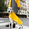 SAINT JAMES Accessoires Pour Chien*Le Toutouciré Jaune