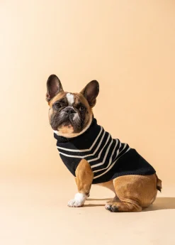 SAINT JAMES Accessoires Pour Chien*Le Toutoupull Navy/ecume