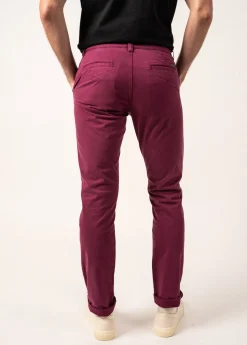 SAINT JAMES Pantalons & Shorts*Pantalon chino Voile Hiver Prune