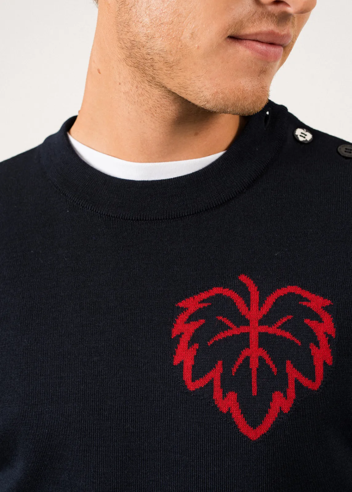 SAINT JAMES Pulls Marins*Pull marin Terre-Mer Navy/medoc